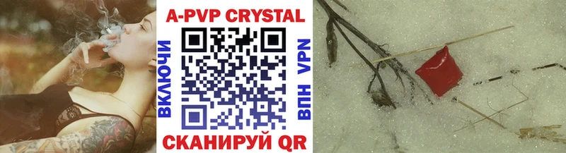 A PVP СК  Назрань 