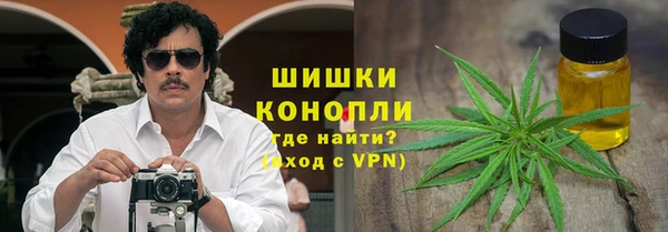 ГАЛЛЮЦИНОГЕННЫЕ ГРИБЫ Лабытнанги