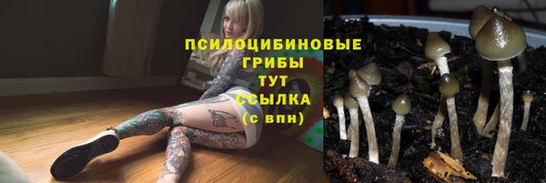 альфа пвп Лиски