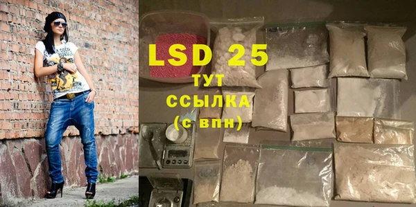 ПСИЛОЦИБИНОВЫЕ ГРИБЫ Лагань