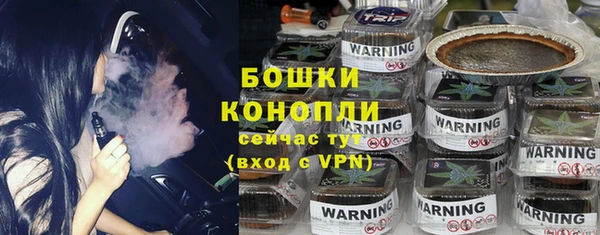 ПСИЛОЦИБИНОВЫЕ ГРИБЫ Лагань