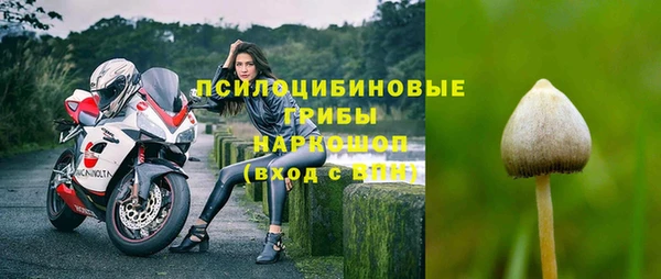стаф Лихославль