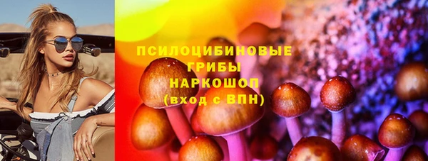 ПСИЛОЦИБИНОВЫЕ ГРИБЫ Лагань