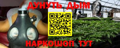 a pvp Гай