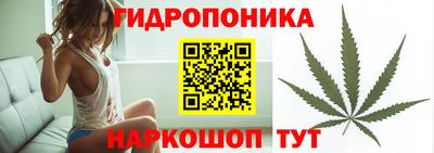 Альфа ПВП Гагарин