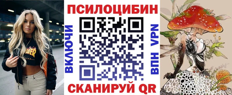 магазин  наркотиков  Назрань  Галлюциногенные грибы прущие грибы 