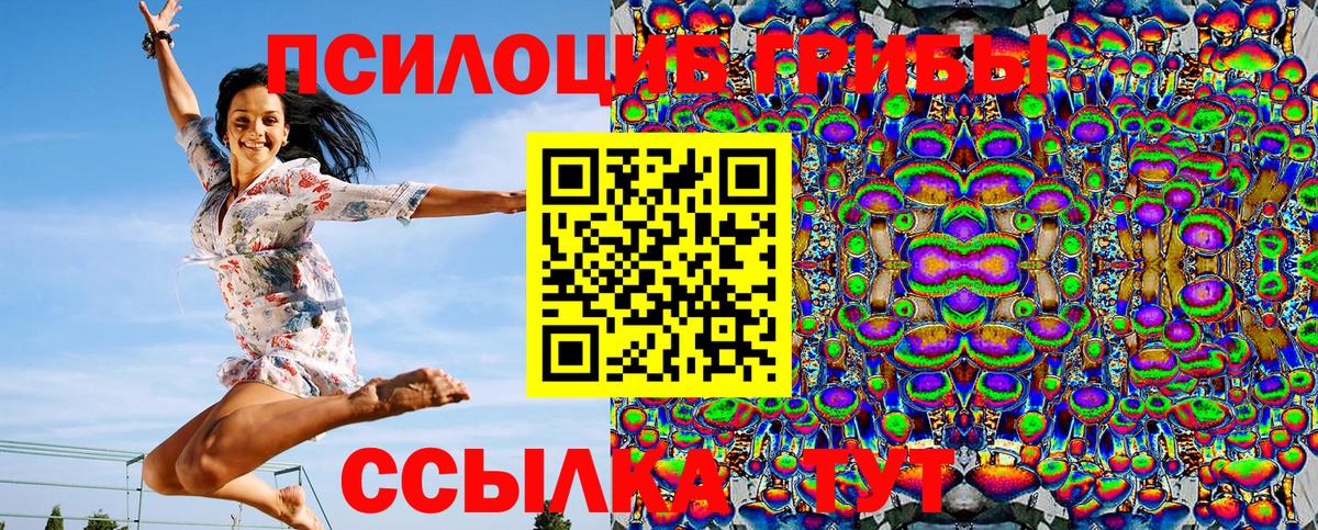 Псилоцибиновые грибы Psilocybe  Назрань 