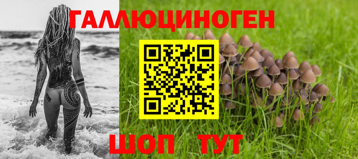 Псилоцибиновые грибы MAGIC MUSHROOMS Назрань