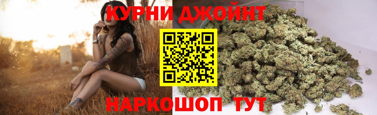 Конопля марихуана Назрань